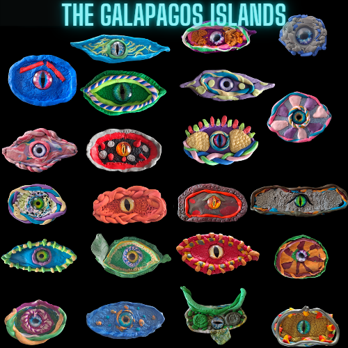 Exploring The Galapagos Islands